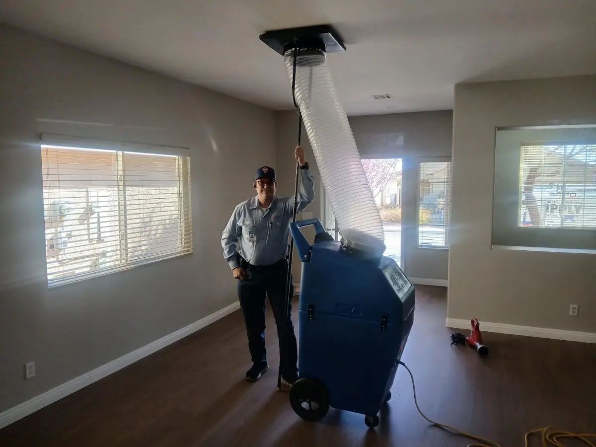 Professional Dryer Vent Cleaning work inside a Greer home